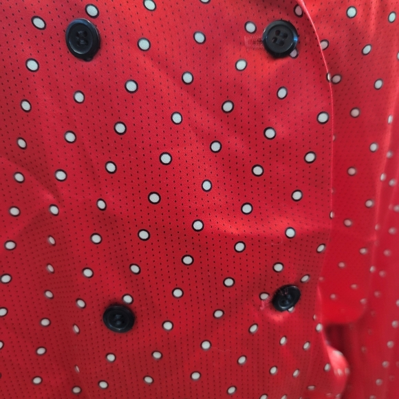 Vintage Castleberry blouse - Picture 4 of 8